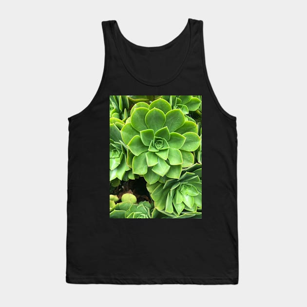 Flower-shaped succulent plant in Southern California Tank Top by offdutyplaces